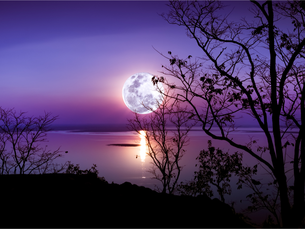 Purple Moon presentation size